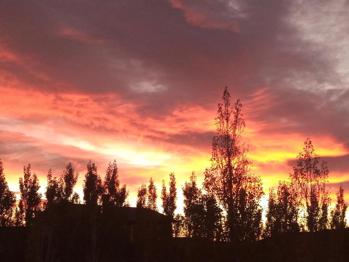 Cielos Patagonicos Aparts El Calafate Ngoại thất bức ảnh